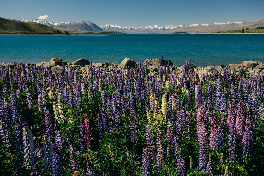 Lake Tekapo 1