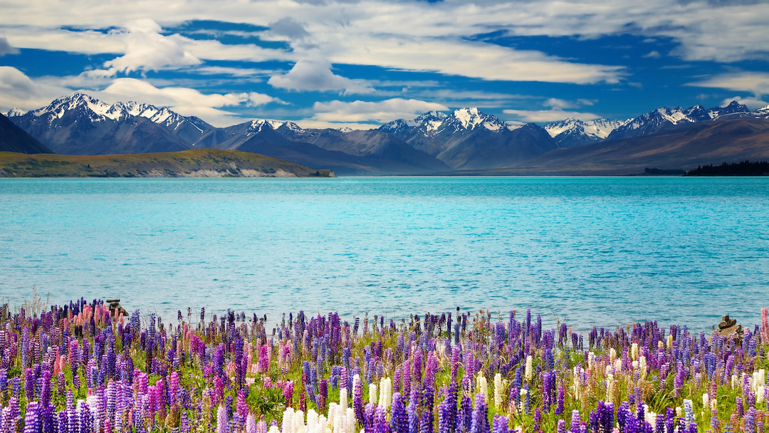 Lake Tekapo