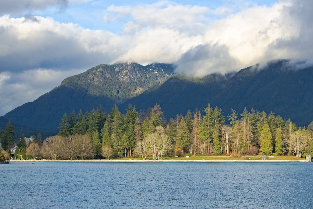 Stanley Park 1