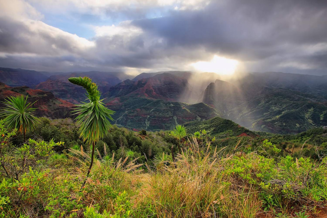 Waimea Canyon
