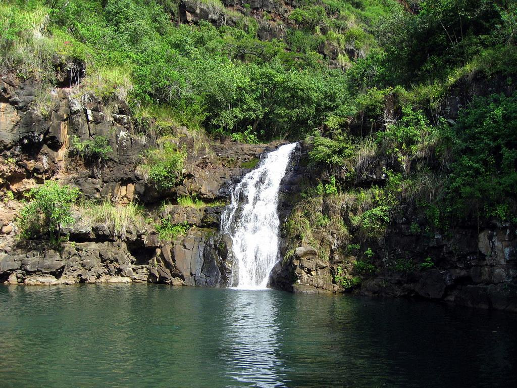 Waimea Waterfall